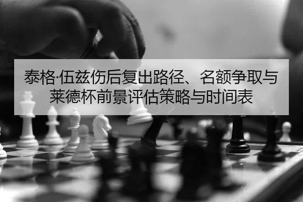 tai-ge-wu-zi-shang-hou-fu-chu-lu-jing-ming-e-zheng-qu-yu-lai-de-bei-qian-jing-ping-gu-ce-lve-yu-shi-jian-biao-2-202.jpg